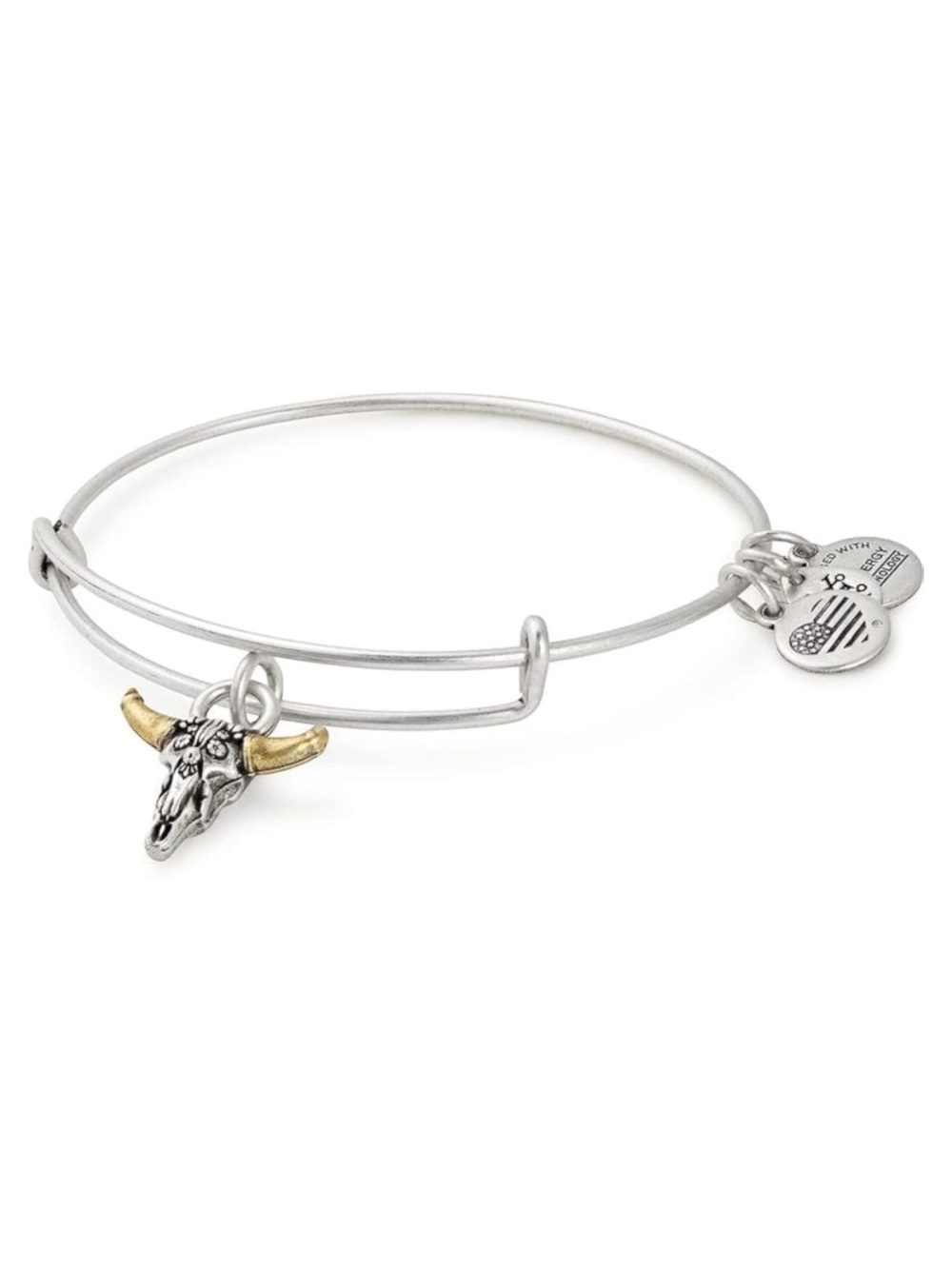 NWT! Alex and Ani Spirited Skull Charm Bangle Bracelet - Silver & Gold